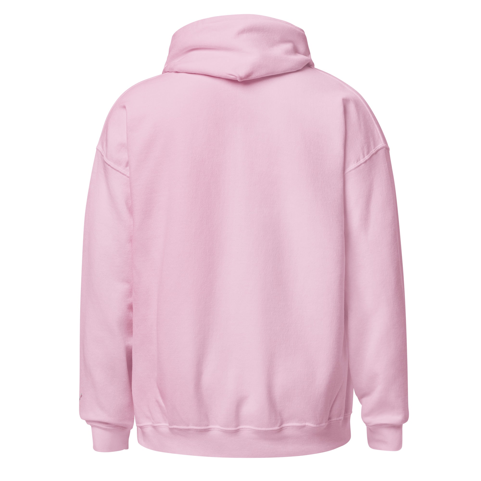 Unisex Faith Hoodie | Seedandsoulful Christian Pullover Sweatshirt - Seedandsoulful