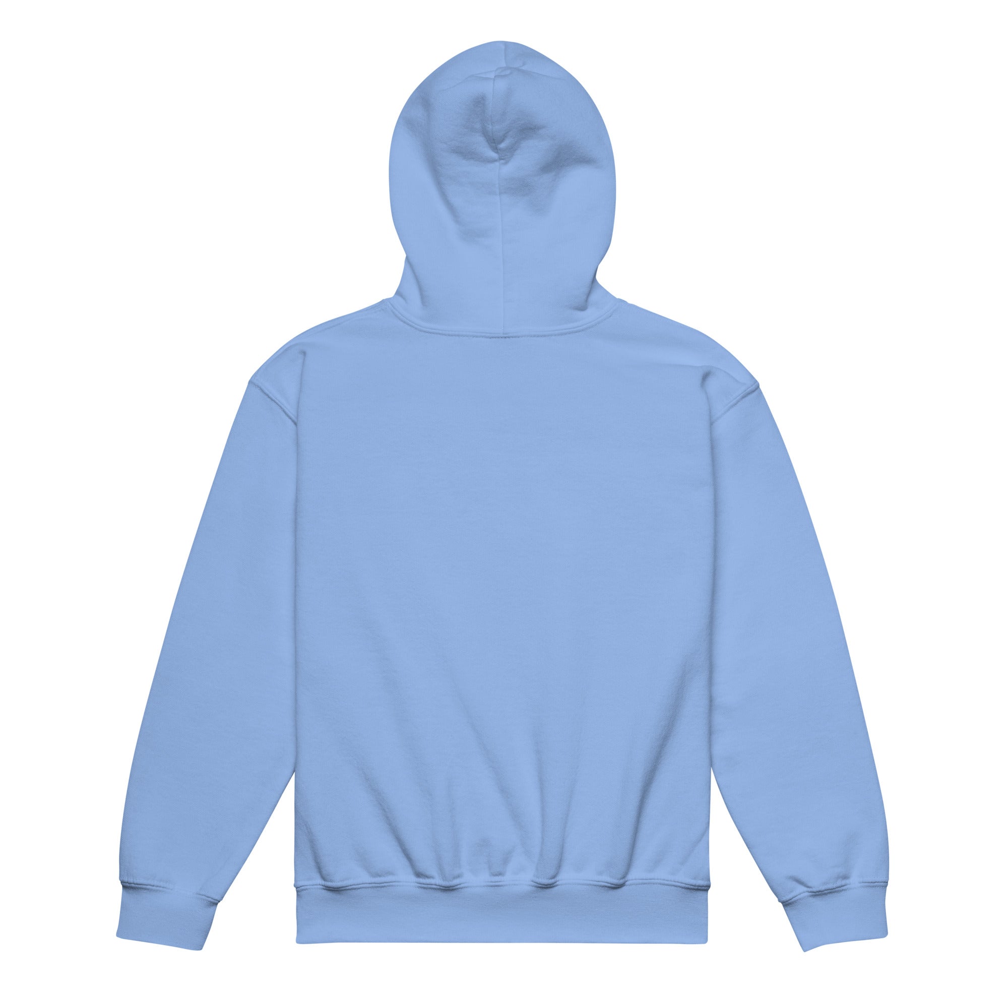 Youth Faith Hoodie | Seedandsoulful Heavy Blend Christian Pullover - Seedandsoulful