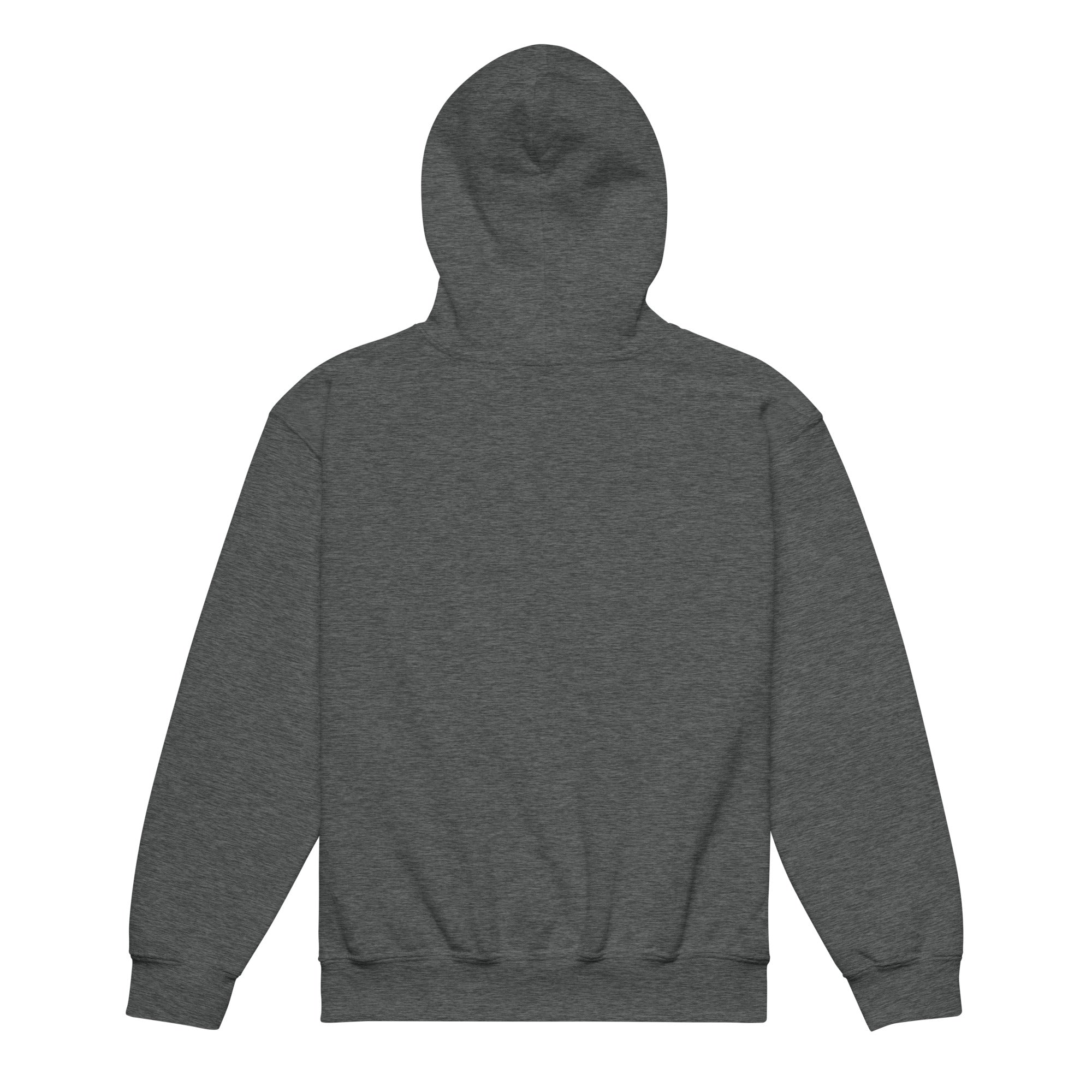 Youth Faith Hoodie | Seedandsoulful Heavy Blend Christian Pullover - Seedandsoulful