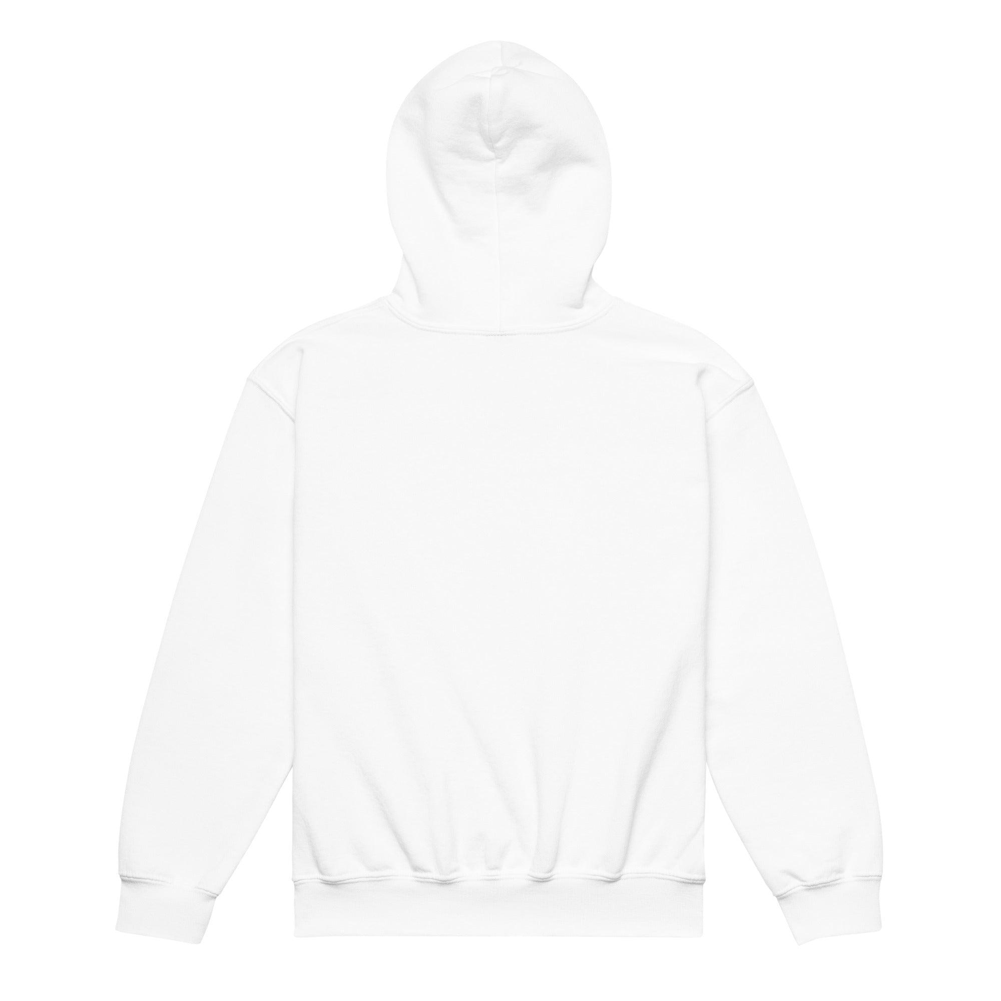 Youth Faith Hoodie | Seedandsoulful Heavy Blend Christian Pullover - Seedandsoulful